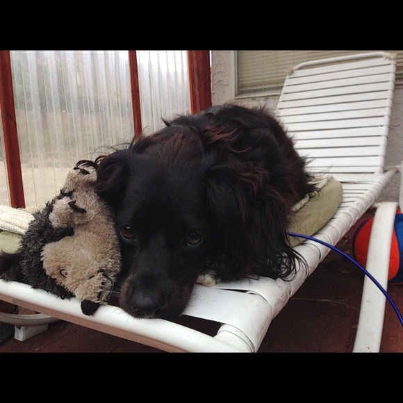 Meet your Posher, Valerie - Picture 1 of 1